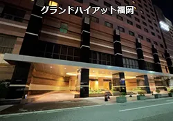 �O�����h�n�C�A�b�g�����i�L���i���V�e�B �z�e���j